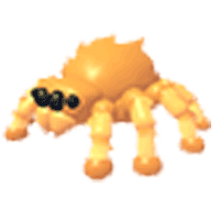 Jumping Spider - Uncommon from Spider Box